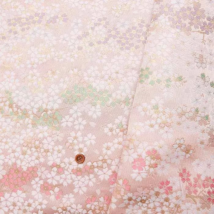 金襴 桜満開