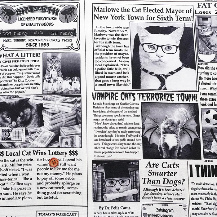 USAコットンプリント生地 TIMELESS TREASURES News Cat